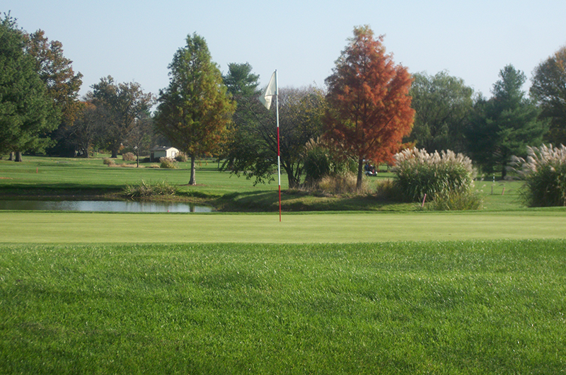 view of golf course